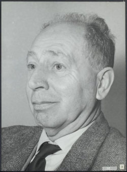 Johan van Veen